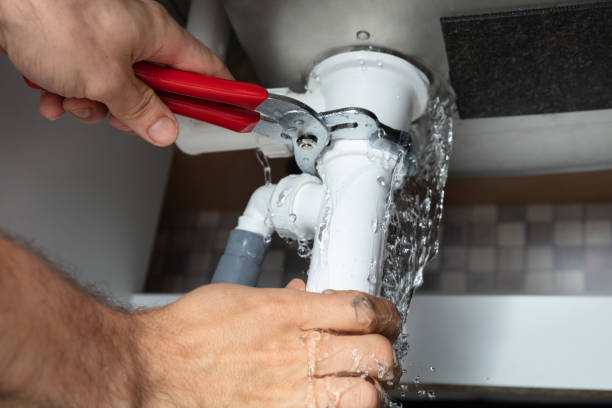 Best Professional water damage repair  in Cottageville, SC
