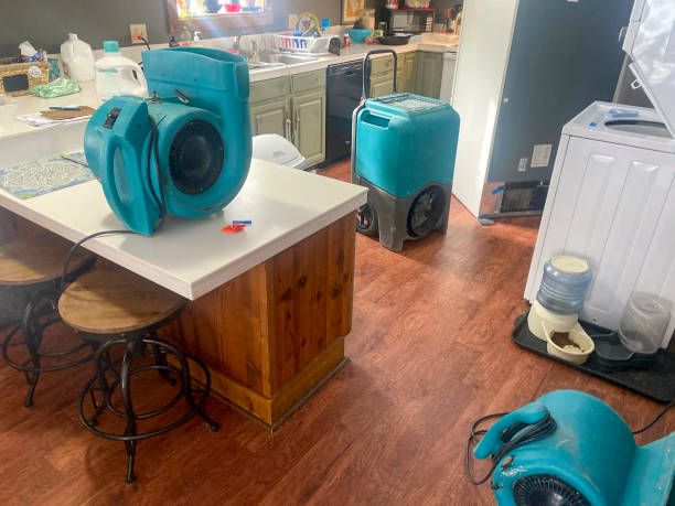 Best Commercial water damage restoration  in Cottageville, SC